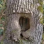 Jo Secco Appartement Bruttig-Fankel