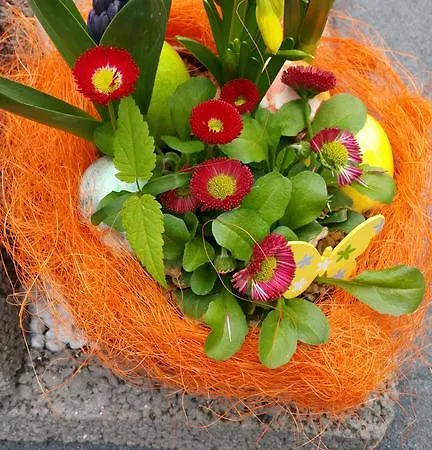 Jo Secco 브루티크판켈