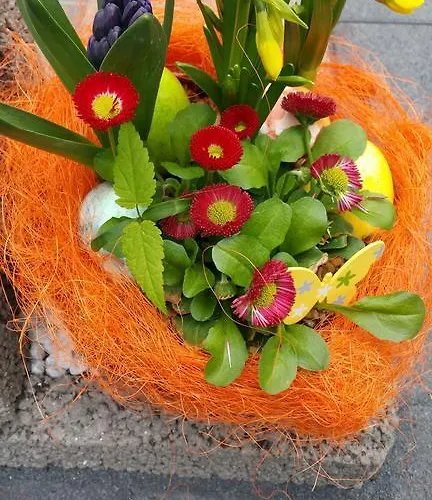 Jo Secco Bruttig-Fankel