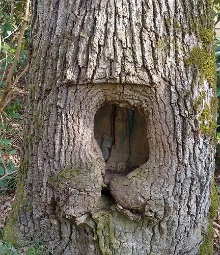 Jo Secco Appartement Bruttig-Fankel